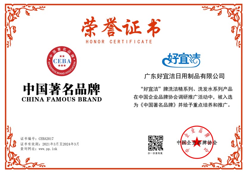 中国著名品牌证书样板(图1)